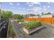 Community garden with raised beds filled with plants and greenery; condo buildings in the background at 2550 Lawrence St # Rb306, Denver, CO 80205