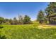 Expansive backyard featuring lush green lawn, mature trees, and well-maintained landscaping at 4475 S Routt St, Littleton, CO 80127