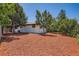 Spacious backyard with mature trees, decorative mulch, and home exterior at 4475 S Routt St, Littleton, CO 80127