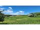 Picturesque grassy land with rolling hills and distant mountain views at 4475 S Routt St, Littleton, CO 80127