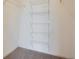 Walk-in closet featuring wire shelving and neutral carpet at 7440 S Blackhawk St # 4-104, Englewood, CO 80112