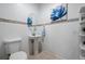 Cozy powder room with a stylish pedestal sink, decorative mirror, and blue floral artwork at 10554 Casper Pt, Parker, CO 80134