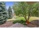 Lush backyard featuring mature trees, green lawn, and garden area at 1844 S Jay Way, Lakewood, CO 80232