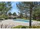 A well-maintained community pool surrounded by lush greenery and a shaded pergola at 1404 Whitehall Dr # C, Longmont, CO 80504