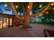 Inviting backyard with a custom deck surrounding a mature tree and ambient string lights for evening enjoyment at 4634 W Tufts Cir, Denver, CO 80236