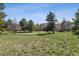 Expansive backyard with mature trees and lush grass, ideal for outdoor activities and relaxation at 762 Hughes Ln, Highlands Ranch, CO 80126