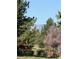 Lush yard with mountain views, mature trees and rustic fence at 762 Hughes Ln, Highlands Ranch, CO 80126