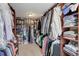 Spacious walk-in closet with custom shelving and ample storage space at 9548 La Quinta Dr, Lone Tree, CO 80124
