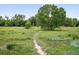 Grassy land with a walking path, trees, and native vegetation, perfect for outdoor activities at 4674 Winona Pl, Broomfield, CO 80020