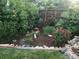 Backyard landscaping with a variety of plants and flowers at 7871 Ogden Ct, Denver, CO 80229