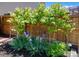 Backyard garden with climbing vines, vibrant purple irises, and wooden fencing for a serene outdoor space at 7871 Ogden Ct, Denver, CO 80229