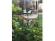 A charming backyard retreat with a fire pit, patio seating, and lush landscaping at 7871 Ogden Ct, Denver, CO 80229