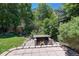 Backyard area with a brick fire pit surrounded by greenery, perfect for outdoor gatherings at 7871 Ogden Ct, Denver, CO 80229