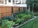 Backyard vegetable garden with a variety of plants and an owl decoration at 7871 Ogden Ct, Denver, CO 80229