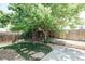 Backyard with grass and mature tree at 18656 E Harvard Dr, Aurora, CO 80013