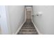 Carpeted stairs leading down to the basement at 2030 Santana Dr, Castle Rock, CO 80104