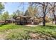 A spacious backyard with mature trees featuring a covered deck with wooden steps, and a lush green lawn at 5898 Parfet Ct, Arvada, CO 80004