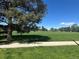 Expansive green park with a large tree providing shade, perfect for outdoor recreation at 7035 E 38Th Ave # 4, Denver, CO 80207