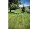 Spacious backyard with green grass and mature trees at 5 Catamount Ln, Littleton, CO 80127