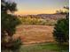 Scenic backyard view overlooking a grassy field with mountains in the distance and mature trees at 5 Catamount Ln, Littleton, CO 80127