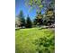 Lush front yard with green grass and mature trees at 5 Catamount Ln, Littleton, CO 80127