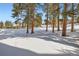 Backyard covered in snow with mature trees at 1941 Boreas Pass Rd # 1C, Breckenridge, CO 80424