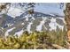 Scenic view of tree covered mountain slopes at 1941 Boreas Pass Rd # 1C, Breckenridge, CO 80424