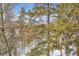 Scenic mountain views through trees at 1941 Boreas Pass Rd # 1C, Breckenridge, CO 80424