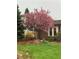 Front yard featuring a large blossoming tree at 8690 E Chenango Ave, Denver, CO 80237