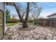 Stone patio features mature tree providing shade in the backyard at 1920 S Downing St, Denver, CO 80210