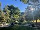 Beautiful backyard with lush greenery, trees, and a serene outdoor setting at 5904 Meadowbrook Dr, Morrison, CO 80465