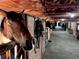 Horse barn with horses in stalls at 5904 Meadowbrook Dr, Morrison, CO 80465