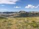 Beautiful landscape of a grassy hillside with scattered wildflowers at 12480 W Nevada Pl # 214, Lakewood, CO 80228