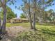 Scenic backyard with large trees, lush greenery, and ample space for relaxation and recreation at 50 Yarrow St, Lakewood, CO 80226