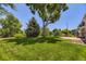 Expansive backyard with manicured lawn and mature trees offering ample space for outdoor activities at 6348 S Independence St, Littleton, CO 80123