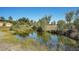 Scenic view of a calm pond surrounded by lush greenery and natural landscape at 10690 County Road One, Longmont, CO 80504