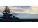 Breathtaking mountain view showcases the natural beauty of the surrounding landscape, with a lovely foreground tree at 3378 Mowry Pl, Westminster, CO 80031