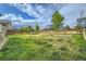 Large backyard with grassy area and wooden fence at 5353 Royal Pine St, Brighton, CO 80601