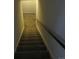 Carpeted stairway leads to a finished basement at 1510 S Macon St, Aurora, CO 80012