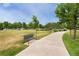 Scenic community park featuring paved walkways and ample seating amidst lush green grass and mature trees at 9503 Longs Peak Dr, Commerce City, CO 80640