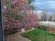 Picturesque backyard view showcasing a flowering tree, green lawn, and neighborhood homes from the window at 2533 W 110Th Ave, Westminster, CO 80234