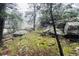 Trees and moss-covered rocks create a serene and secluded setting at 4923 Snowberry Ln, Evergreen, CO 80439