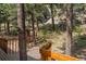 Wood path leading to forest view at 4923 Snowberry Ln, Evergreen, CO 80439