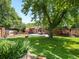 Lush backyard features a spacious lawn, mature trees, and a patio area at 10109 W 68Th Ave, Arvada, CO 80004