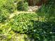 Natural pond with lush greenery, lily pads, and a serene, tranquil setting at 8828 E Florida Ave # 103, Denver, CO 80247