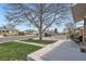 Charming front yard with mature trees, green lawn, and inviting front porch at 3180 Mowry Pl, Westminster, CO 80031