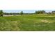 Lush green community space with a parkway at 3180 Mowry Pl, Westminster, CO 80031
