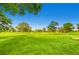 Lush green golf course on a sunny day showcasing well-maintained fairways and mature trees at 2100 N Franklin St # 20, Denver, CO 80205