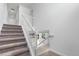 Carpeted staircase with white railings leads to the upper level, offering a view of the bright and open layout at 6387 Agave Ave, Castle Rock, CO 80108