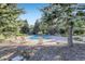 View of a community swimming pool surrounded by mature trees and lawn chairs at 3727 Cactus Creek Ct # 204, Highlands Ranch, CO 80126
